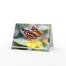 American Painted Lady Butterfly Blank Notecard