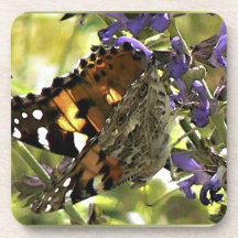 American Painted Lady Butterfly Coaster