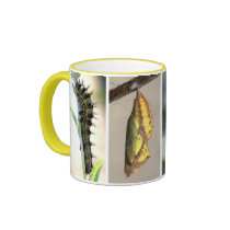 American Painted Lady Butterfly Lifecycle Coffee M Coffee Mug