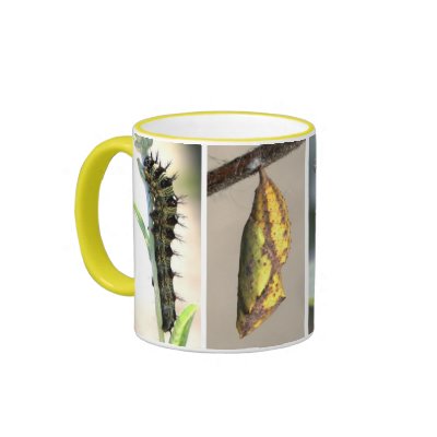 American Painted Lady Butterfly Lifecycle Coffee M Coffee Mug by shadyoakbutterfly