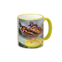 American Painted Lady Butterfly Lifecycle Coffee M Coffee Mug