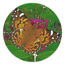American Painted Lady Butterfly Sticker