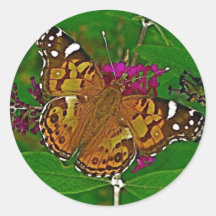 American Painted Lady Butterfly Sticker