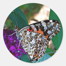 American Painted Lady Butterfly Sticker
