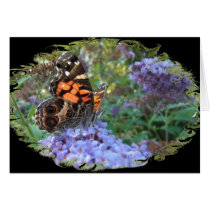 American Painted Lady ~ card