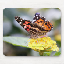 American Painted Lady Mouse Pad