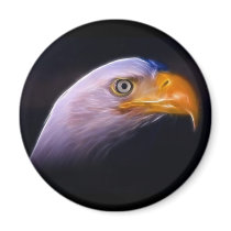 American Patriotic Bald Eagle, National Symbol Fridge Magnets