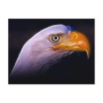 American Patriotic Bald Eagle, National Symbol Postcards