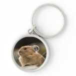American Pika keychains