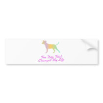 American Pit Bull Terrier Bumper Stickers