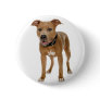 American Pit Bull Terrier Pin
