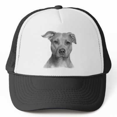 American Pit Bull Terrier by petspictured