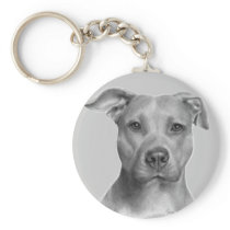 American Pit Bull Terrier