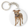 American Pit Bull Terrier Key Chains