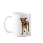 American Pit Bull Terrier Mug