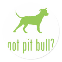 American Pit Bull Terrier