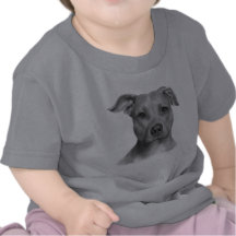 American Pit Bull Terrier T Shirts