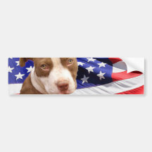 American Pitbull puppy Bumper Stickers