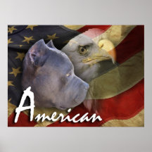 American Pitbull Terrier Dog, Flag, Bald Eagle Print