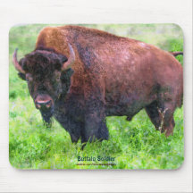 American Plains Buffalo Bison Bull Art Mouse Pads