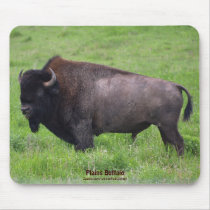 American Plains Buffalo Bison Bull Mousepad