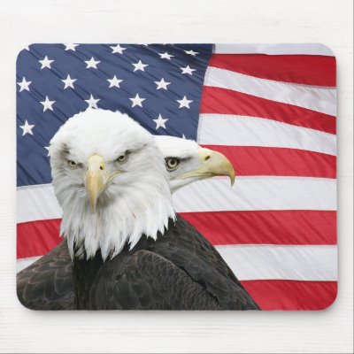American pride mousepad by deemac1