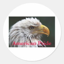 American Pride Sticker