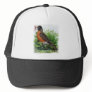 American Robin Hats