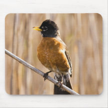 American Robin In Marshlands Mouse Pads