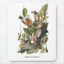 American Robin, John Audubon Print Mouse Pad