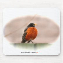 American Robin Mousepad