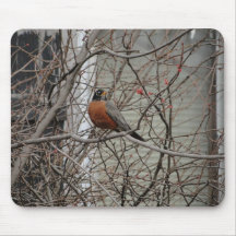 American Robin Mousepads