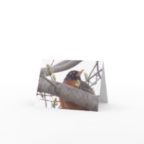 American Robin Note Card