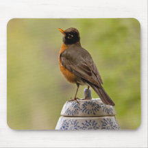 American Robin on a Cookie Jar Mouse Pads