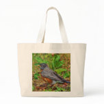 American Robin on the Grass Tote Bag
