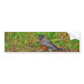 American Robin on the Grass Bumper Sticker