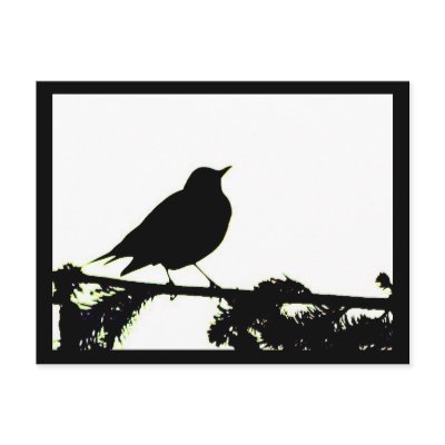 American Robin Silhouette Postcard by naturalphotos