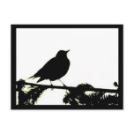 American Robin Silhouette Postcard