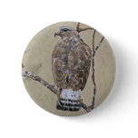 American Rough-legged Buzzard buttons