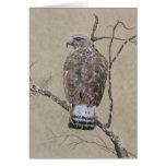 American Rough-legged Buzzard Card