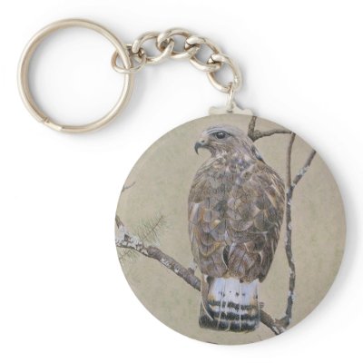 American Rough-legged Buzzard Key Chain by fhooper