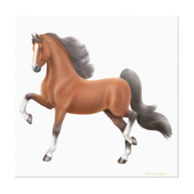 American Saddlebred Gaited Horse Wrapped Canvas Stretched Canvas Prints