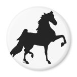 American Saddlebred Horse