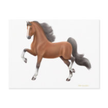 American Saddlebred Horse Postcard
