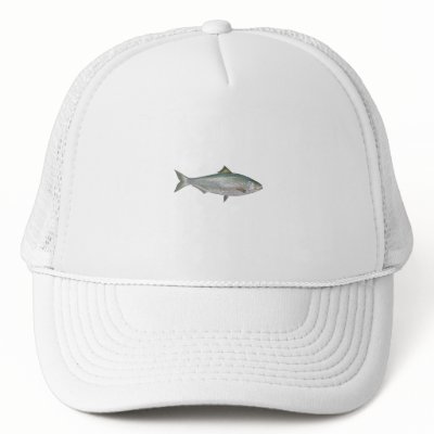 American Shad Hat by fish_fishing_seafood