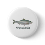 American Shad (titled) Pins