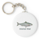 American Shad (titled) Keychains