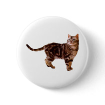 American Shorthair Pinback Buttons