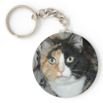American Shorthair Calico Shelter Cat Keychain