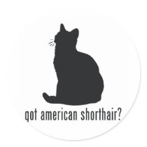 American Shorthair Cat Sticker